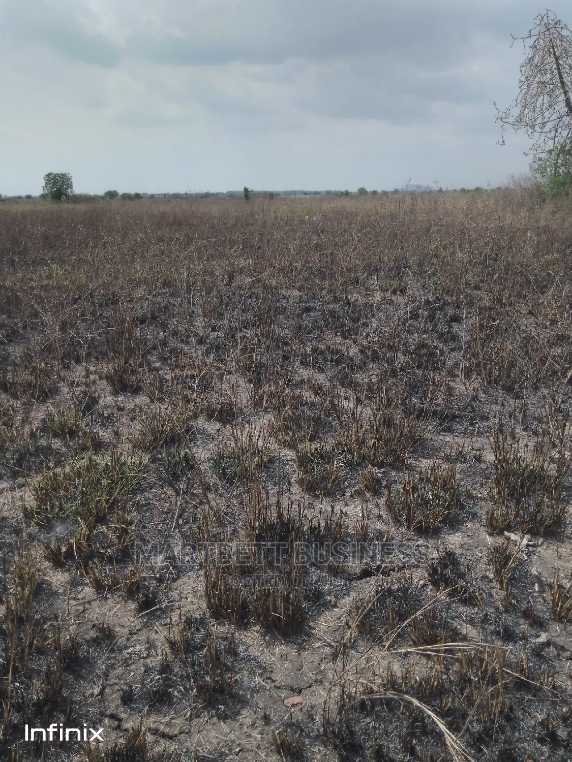 70 by 100 Titled and Genuine Land at Dawhenya