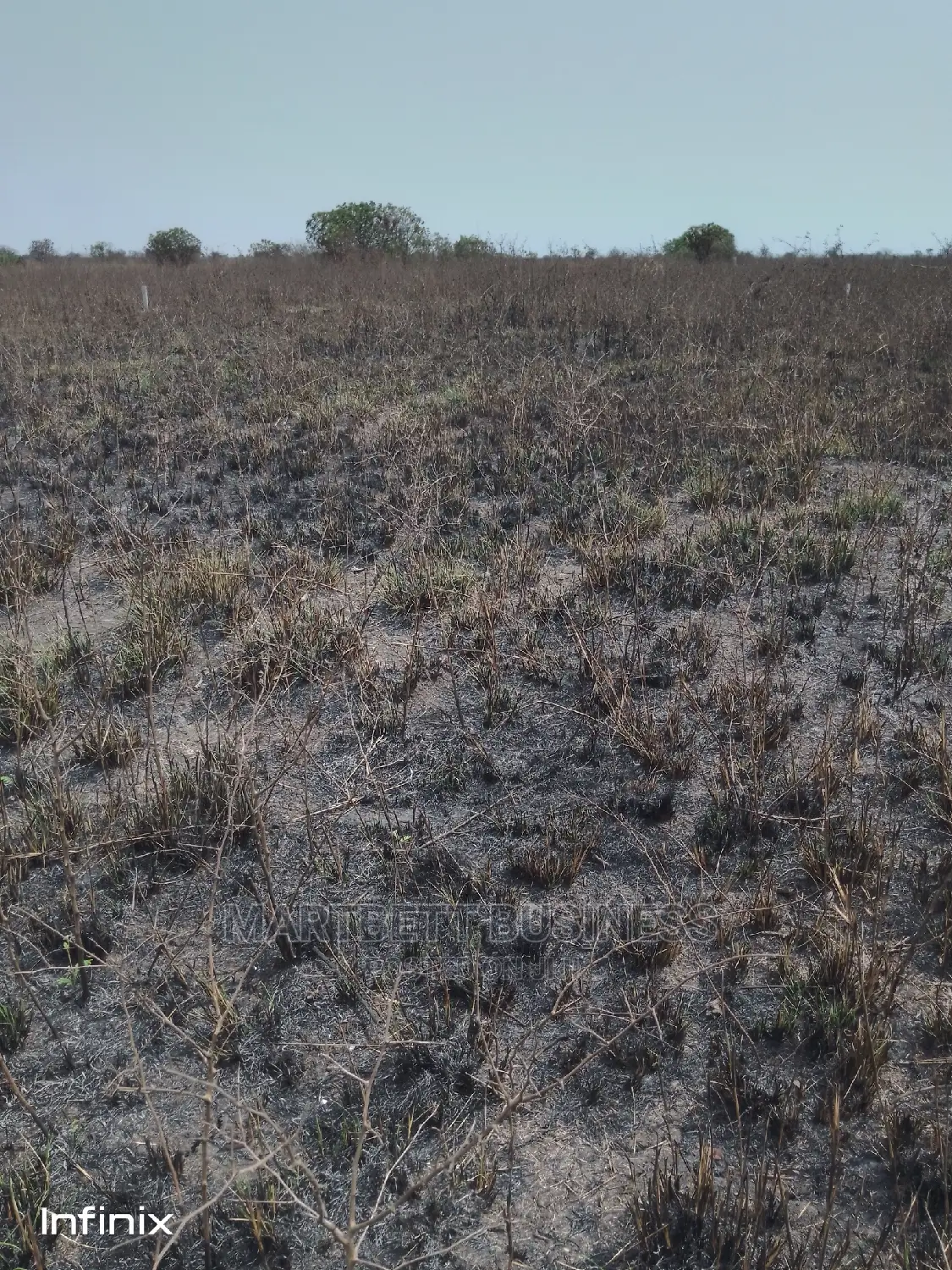 70 by 100 Titled and Genuine Land at Dawhenya