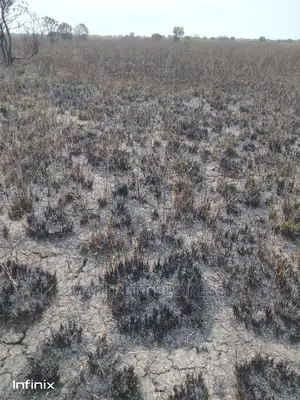 70 by 100 Titled and Genuine Land at Dawhenya