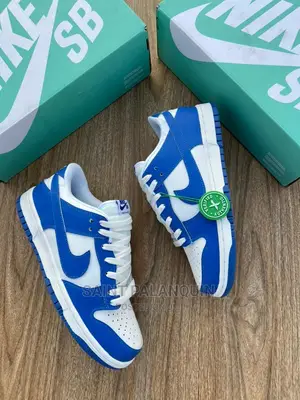 Nike Sb Low Dunk