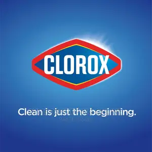 Clorox Toilet Bowl Cleaner W/Bleach, Rain Clean, 24 Fl Oz