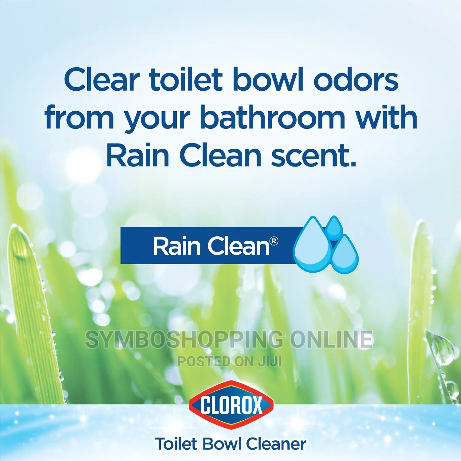 Clorox Toilet Bowl Cleaner W/Bleach, Rain Clean, 24 Fl Oz