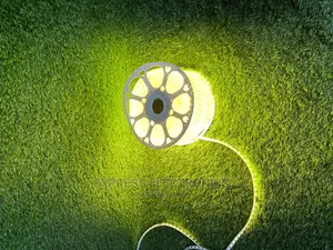 Led Strip Light (Warm) 100 Meters