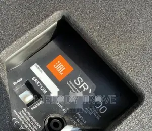Jbl 12inches Passive Stage Monitors