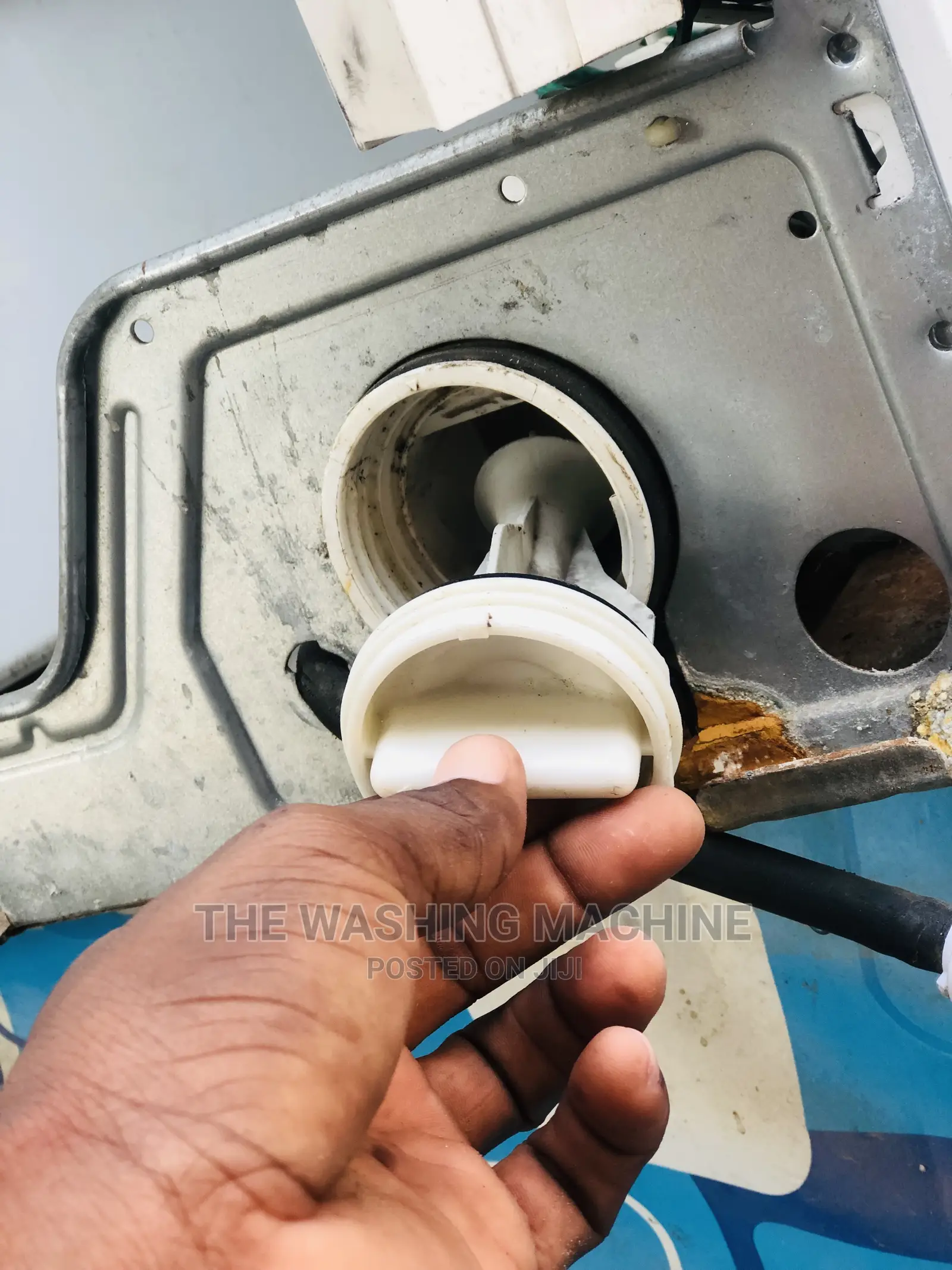 Experts in Washing Machines