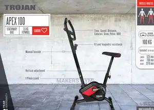 Exercise Bike ( Flywheel)