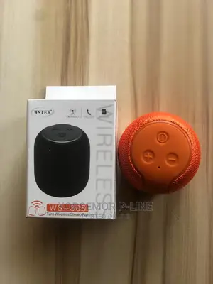 Ws-305 Bluetooth Music Player