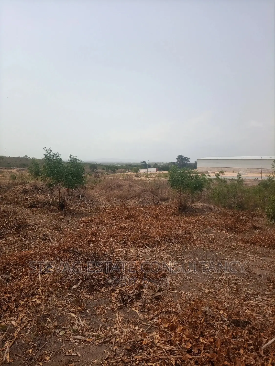 Alpha Properties Estate Land For Sale At Akoti Kweikrom
