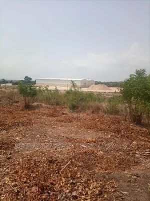 Alpha Properties Estate Land For Sale At Akoti Kweikrom