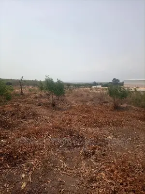 Alpha Properties Estate Land For Sale At Akoti Kweikrom