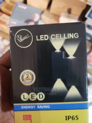 Zj IP Wall Light