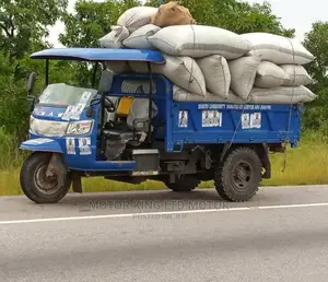 New Tricycle 2022 Blue