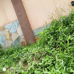 2 Plots of Land for Sale at Spintex Comm 18