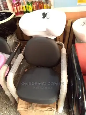 Salon Sink