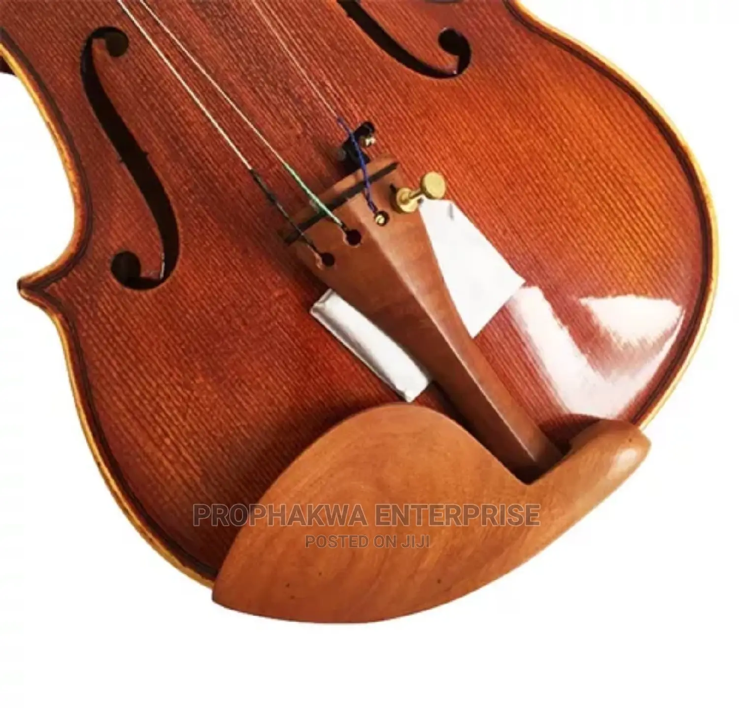 Christina Violin