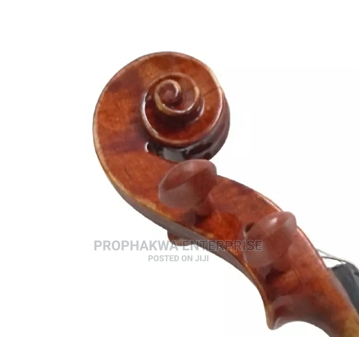 Christina Violin
