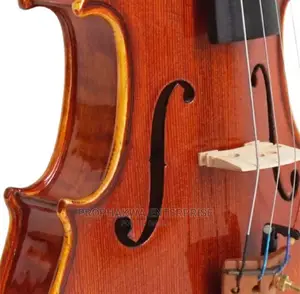 Christina Violin