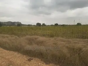 100 Acres of Land at SOMANYA