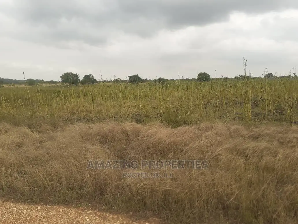 100 Acres of Land at SOMANYA