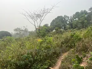 12 Acres of Land Located Right Opposite Aburi Girls SHS.