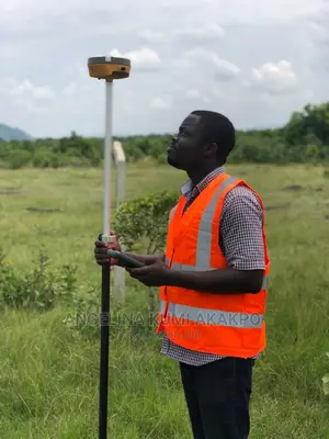 Surveyor Services