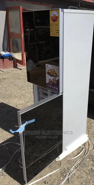 Mirror Door Rainbow Double Door Fridge RF-352BG 229L