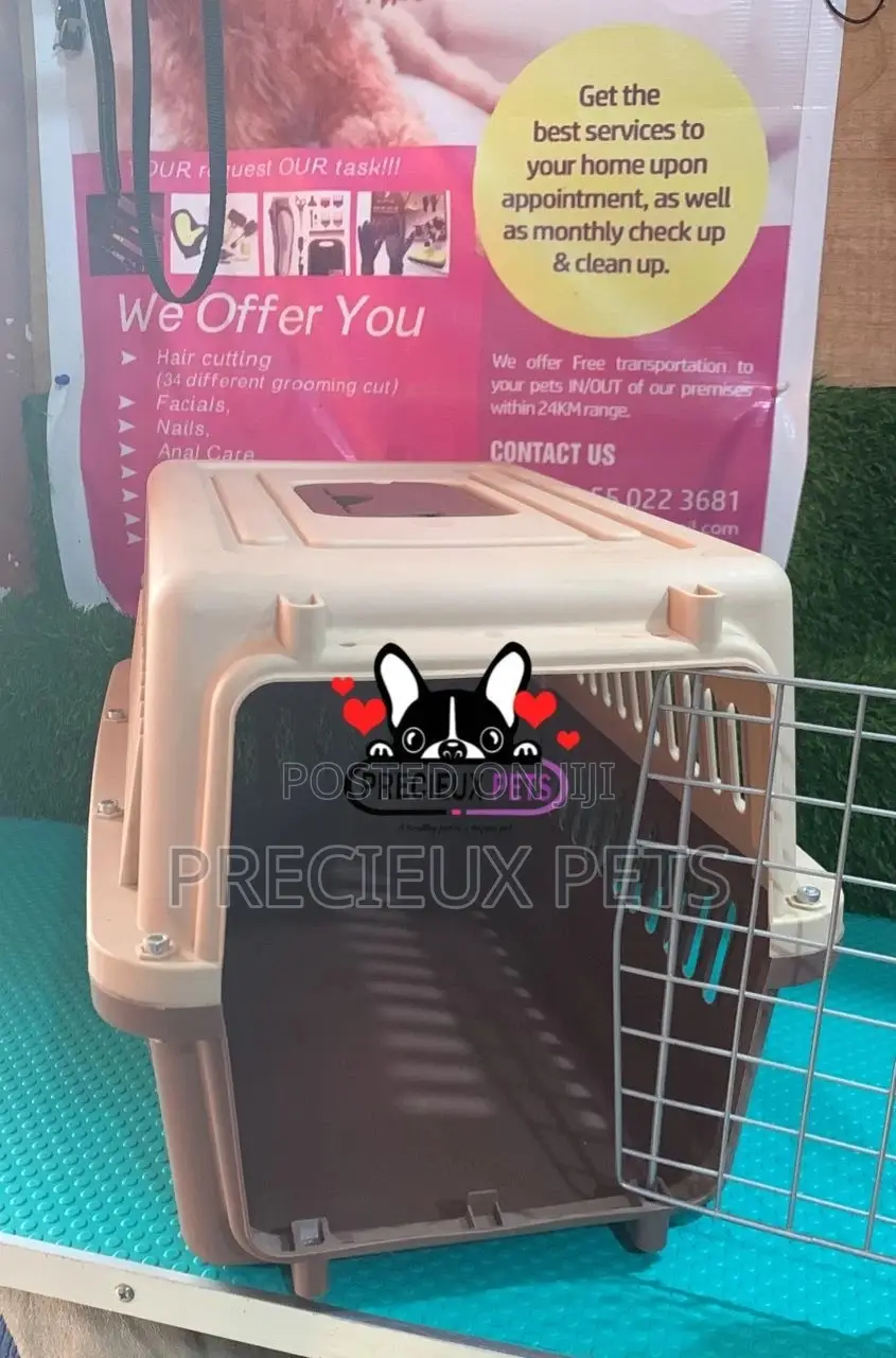 Portable Small Size Plastic Crate/Cage for Dogs and Cats