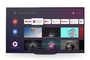 Sony BRAVIA 65" OLED Certified Smart Narrow Bezel 65A9G