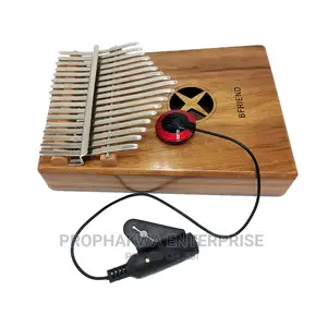 Microphone Pick Up
