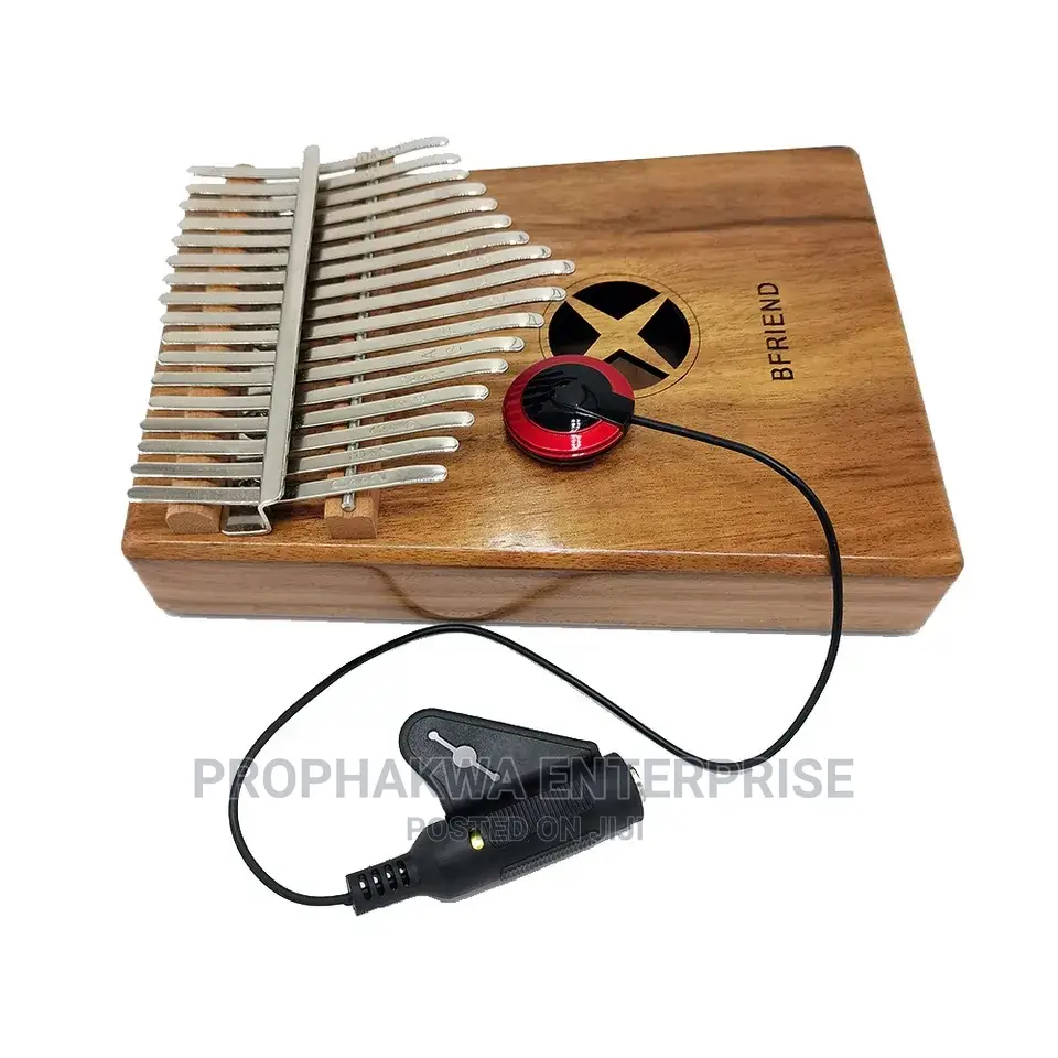 Microphone Pick Up