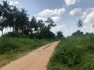 Acres of Land at Asamankese