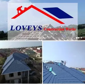 Professional Roof Work