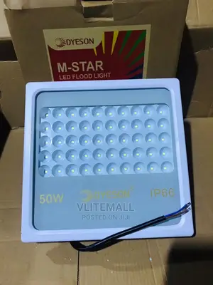 Dyeson 50W Flood Light IP66
