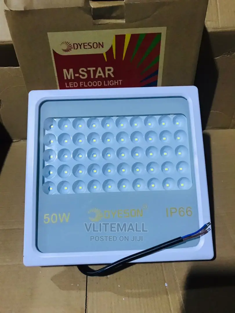 Dyeson 50W Flood Light IP66