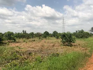 40 Acres of Land at Ashiyie