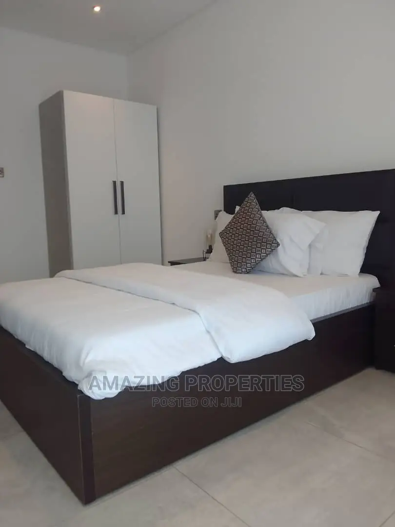 Furnished 2bdrm Apartment in South Shiashie for Rent
