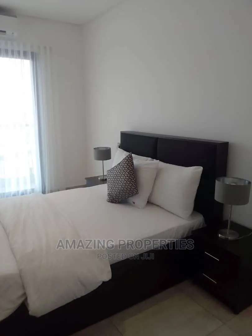 Furnished 2bdrm Apartment in South Shiashie for Rent