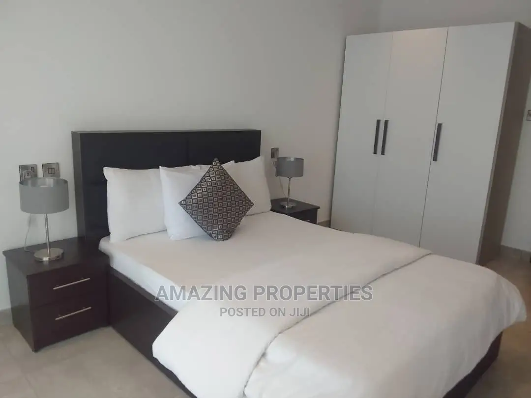Furnished 2bdrm Apartment in South Shiashie for Rent
