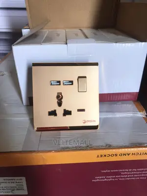 Dyeson Single Multi With 2 USB (Gold)