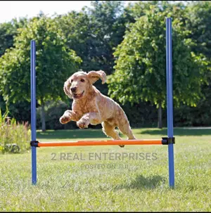 Dog Agility Hurdle