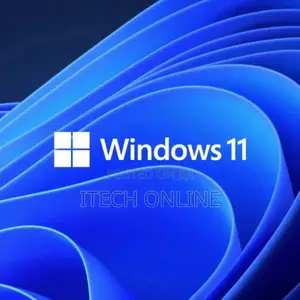 Windows 11 and 10 Installation (Registered)