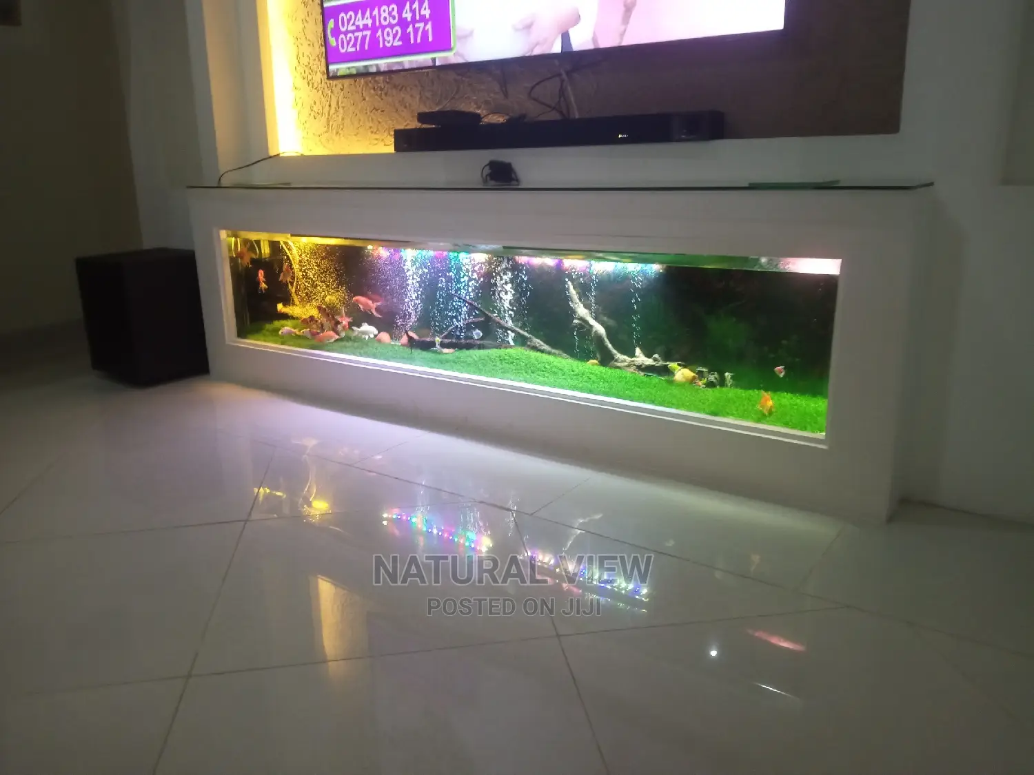 Aquarium Fish Tanks