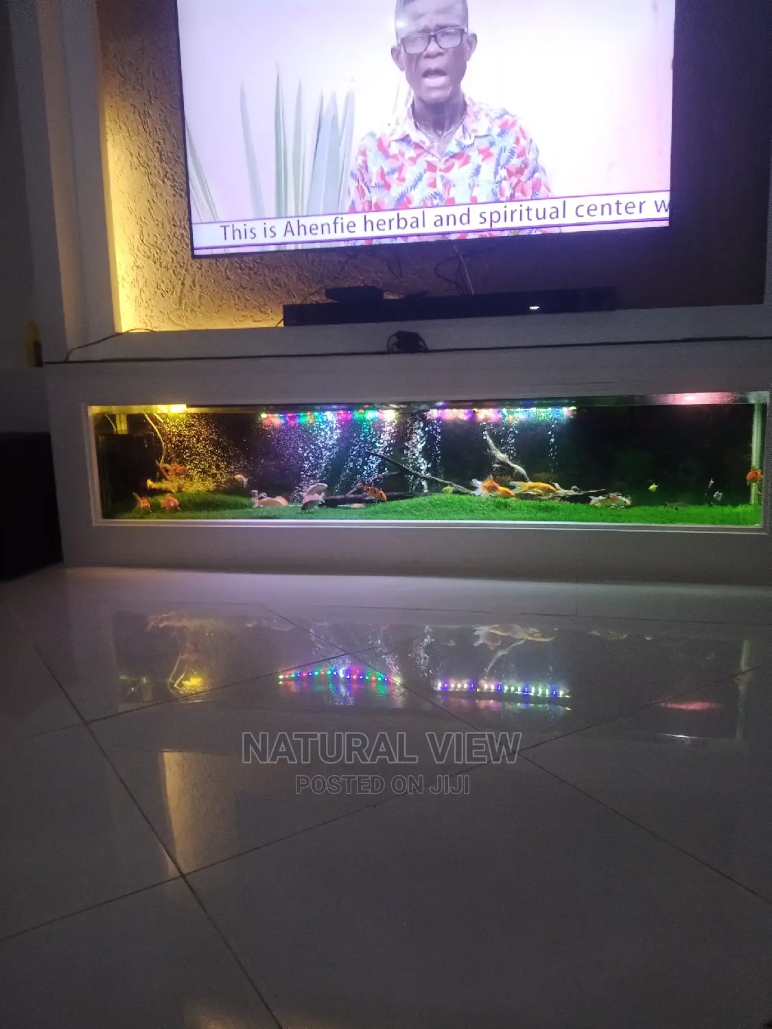 Aquarium Fish Tanks