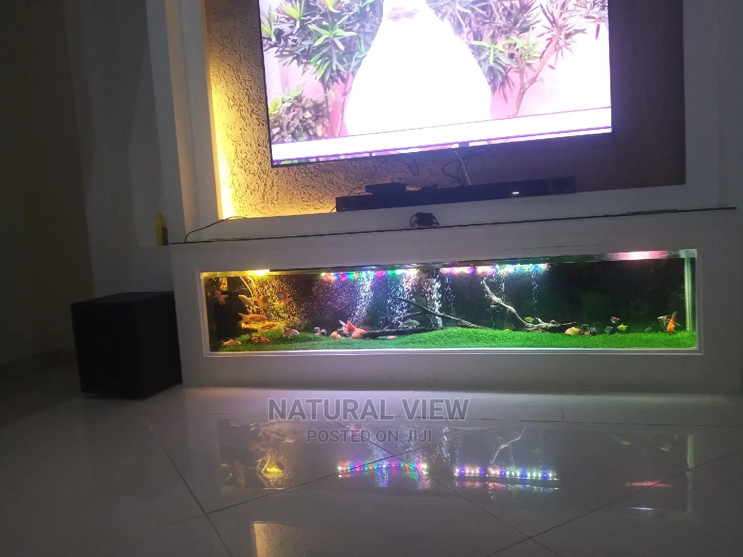 Aquarium Fish Tanks