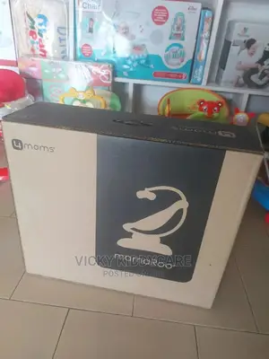 Mamaroo 4 Moms Swing