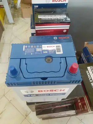 Ns40l Bosch 11 Plates - Small Pole