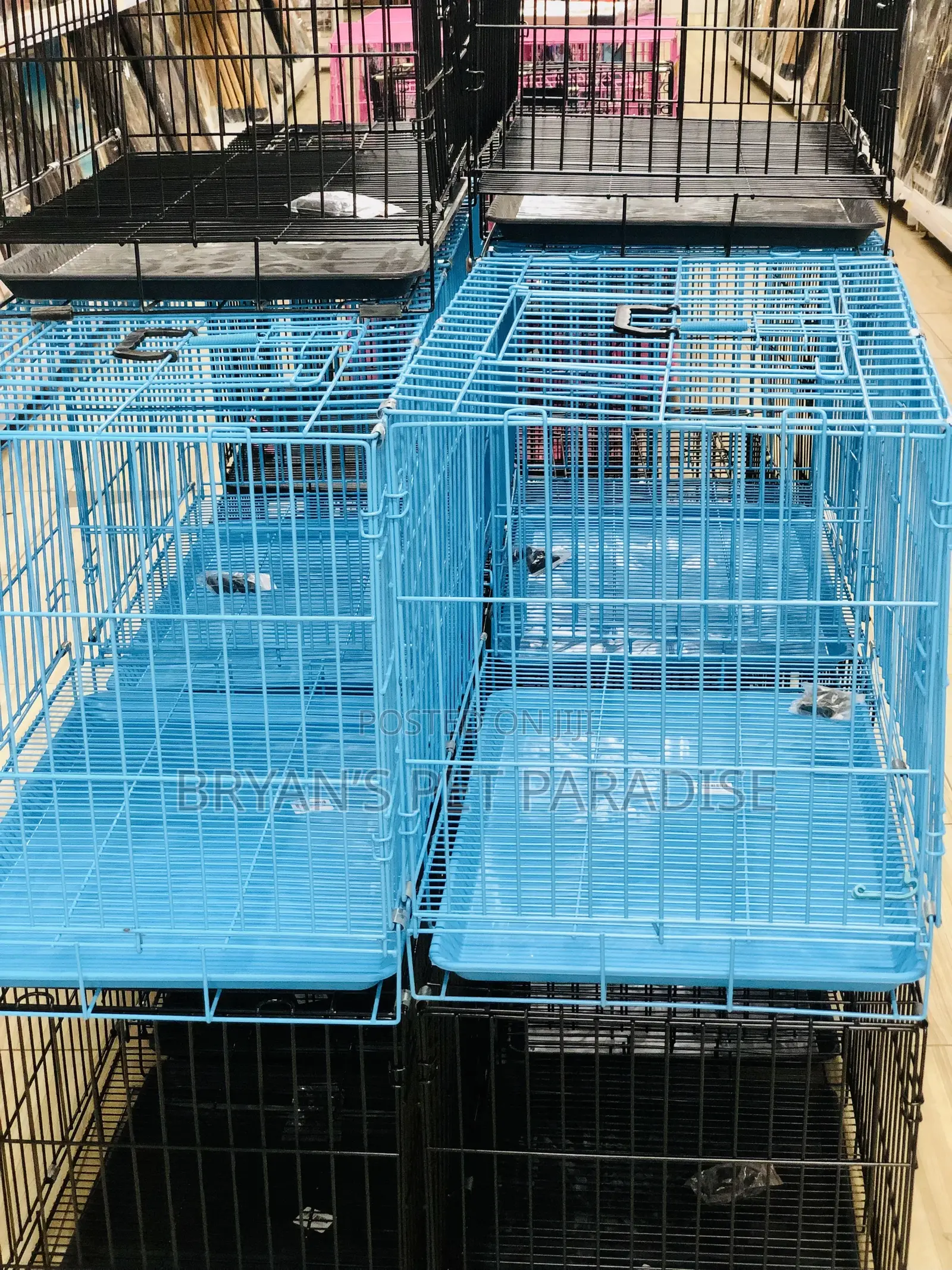 Medium Size Poodle Cages Available
