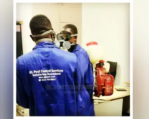 Most Effective Bedbug Fumigation