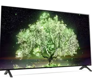 LG 55 Inch UHD Smart OLED Built-In Receiver - OLED55A1PVA