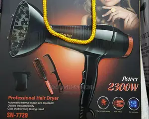Professional Hair Dryer
